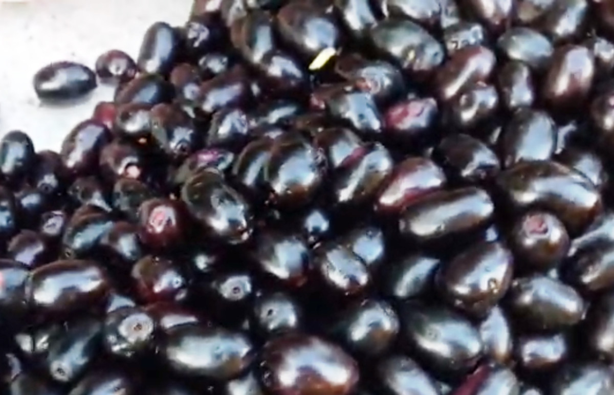 Black Plum (Jamun): Medicinal and Nutritional Benefits