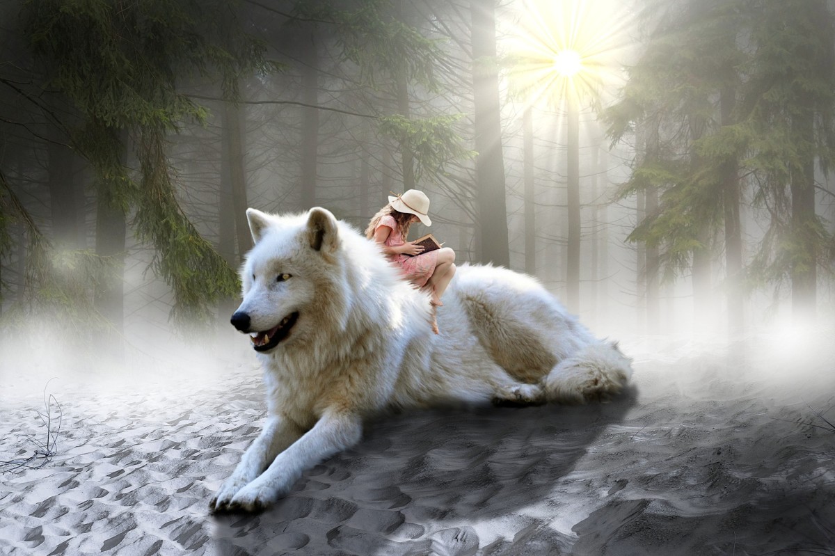 What Does a White Wolf Symbolize?