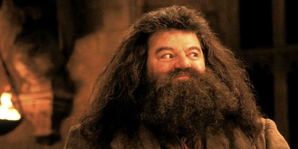Robbie Coltrane as Hagrid 