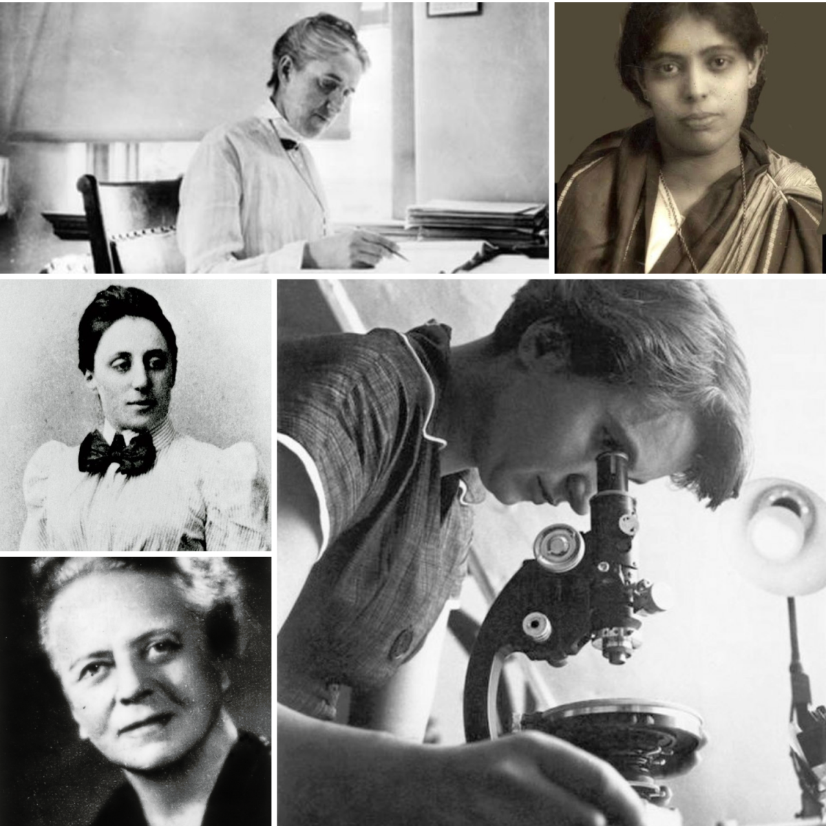 Can You Name 5 Women Scientists?