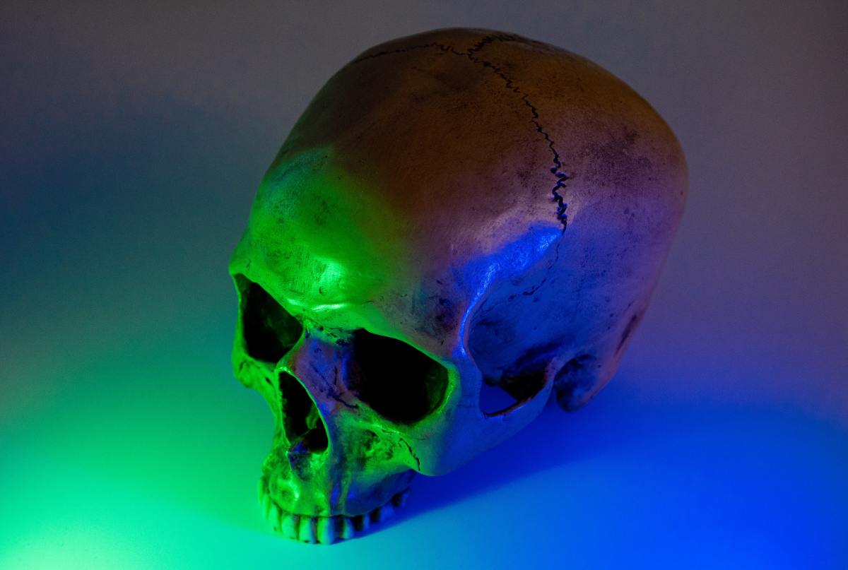 A human skull which symbolizes what is on the cover for Obsessed by Cruelty.