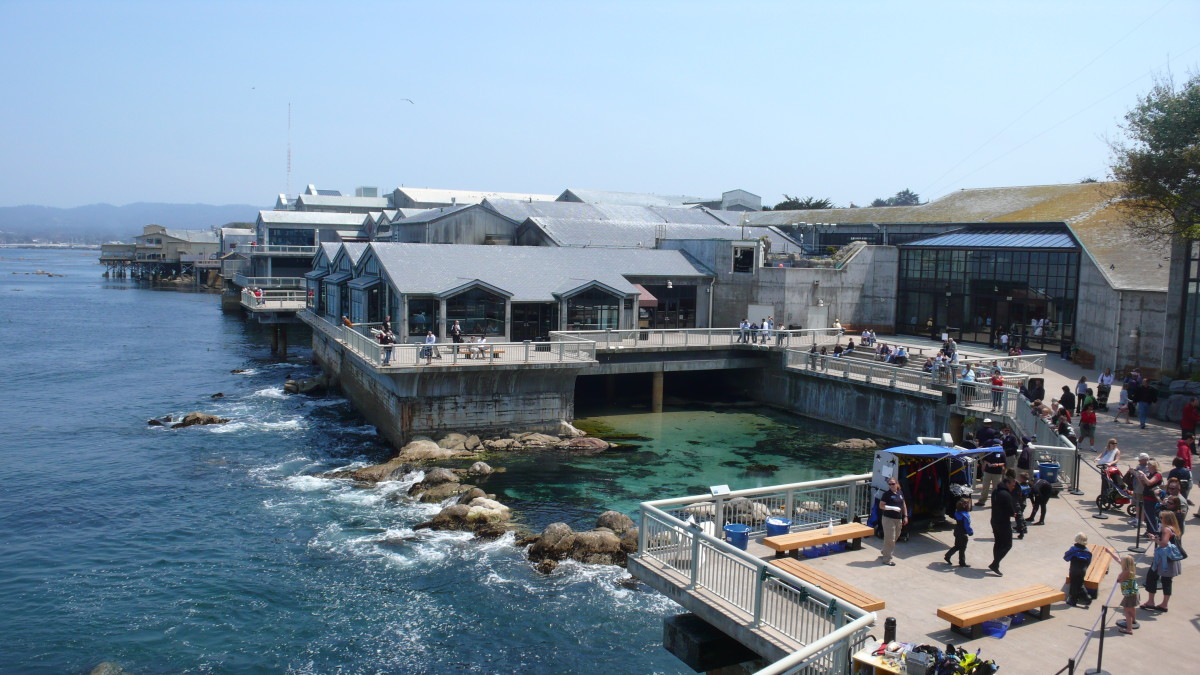 5 Things to Do in Monterey, California