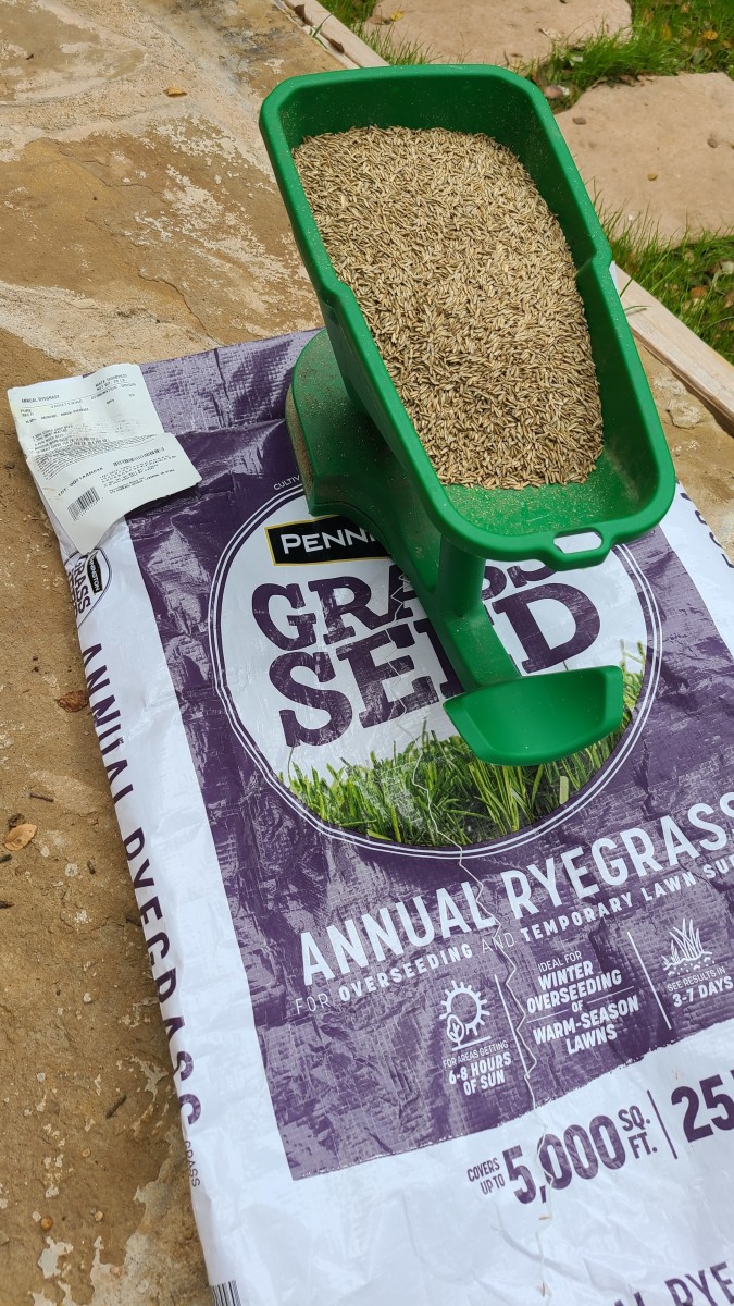 A handheld broadcast spreader works great for ryegrass seed.