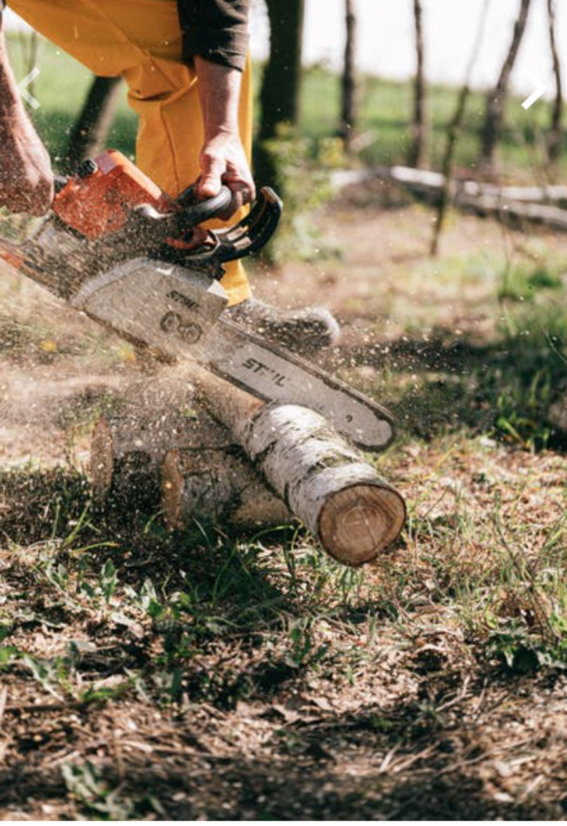 Why Were Chainsaws Invented? [Did you Know it was First Used on Women?]