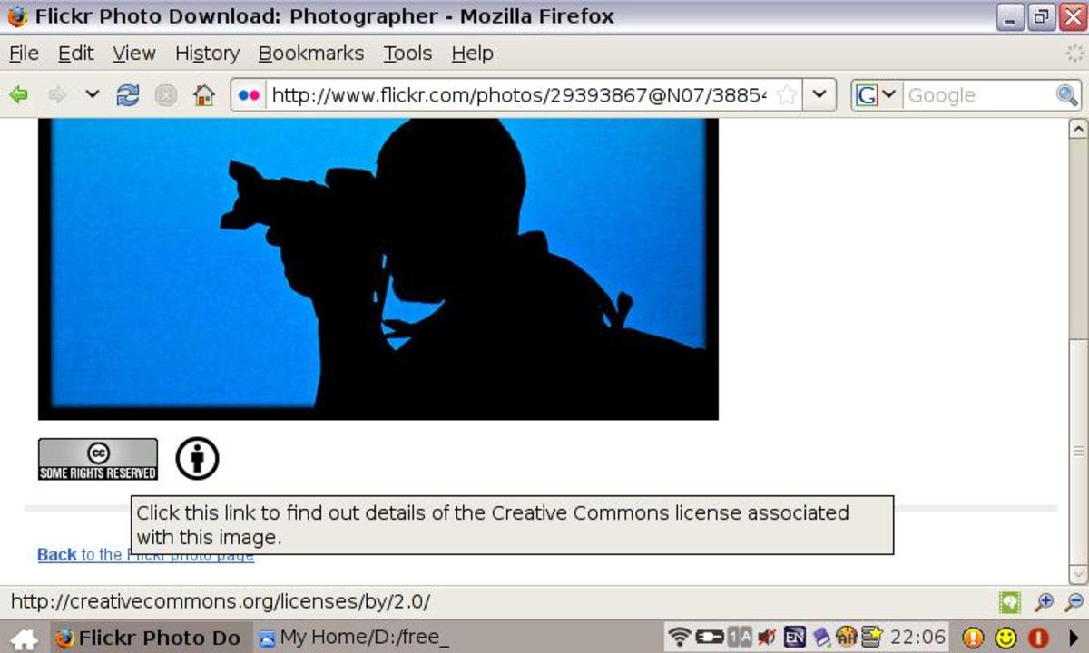 step-by-step-guide-to-finding-free-photos-on-flickr