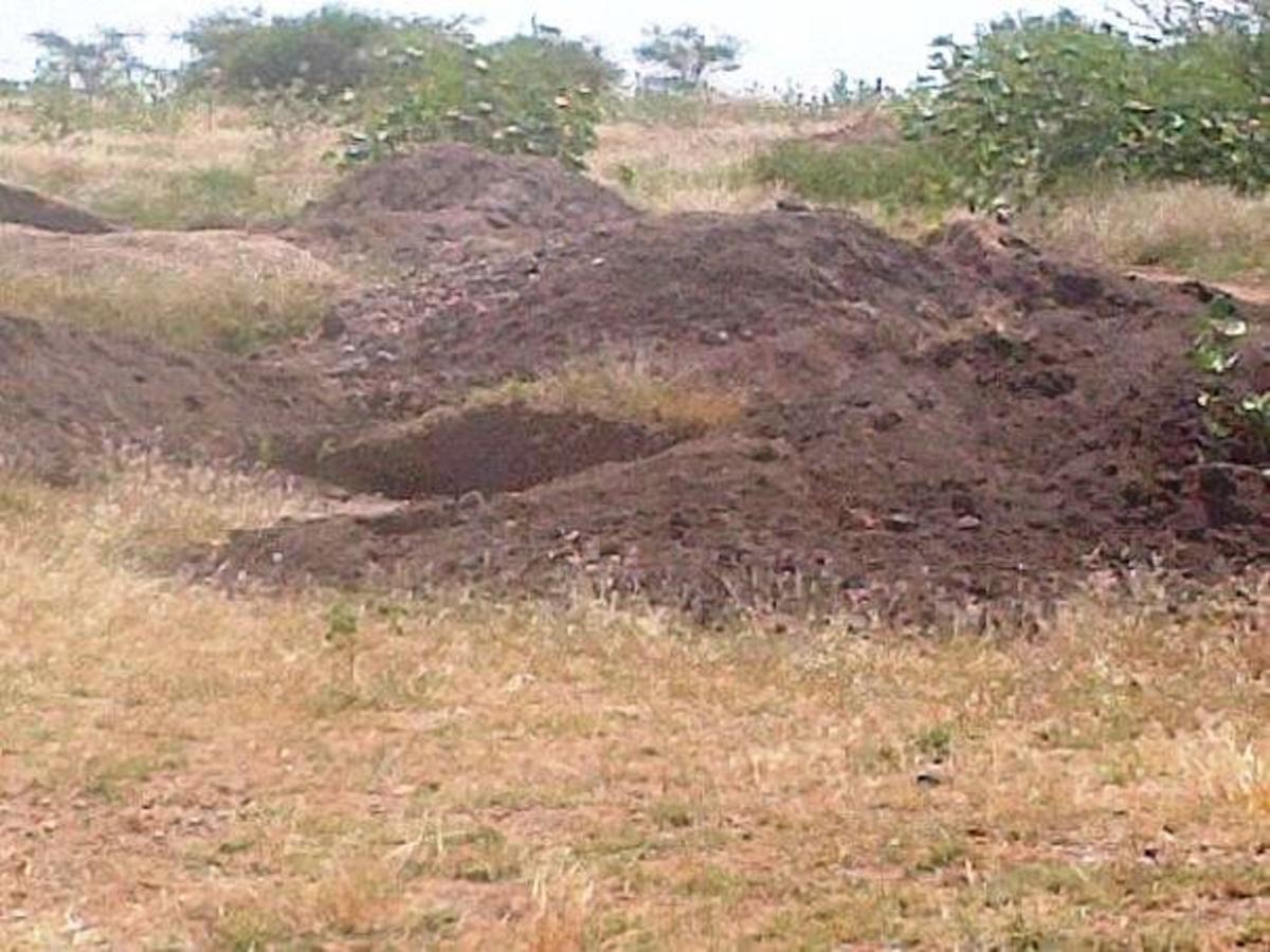 Evidence of local people digging for diamonds in the vicinity of Mwadui © Sonja Jordaan 