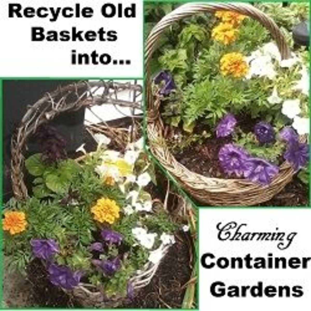 How to Recycle Old Baskets into Container Gardens