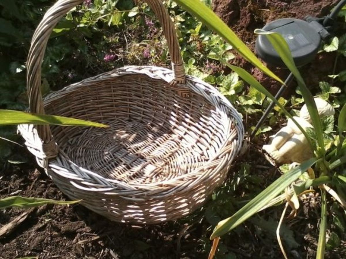 How to Recycle Old Baskets into Container Gardens - HubPages, image size:1200x899