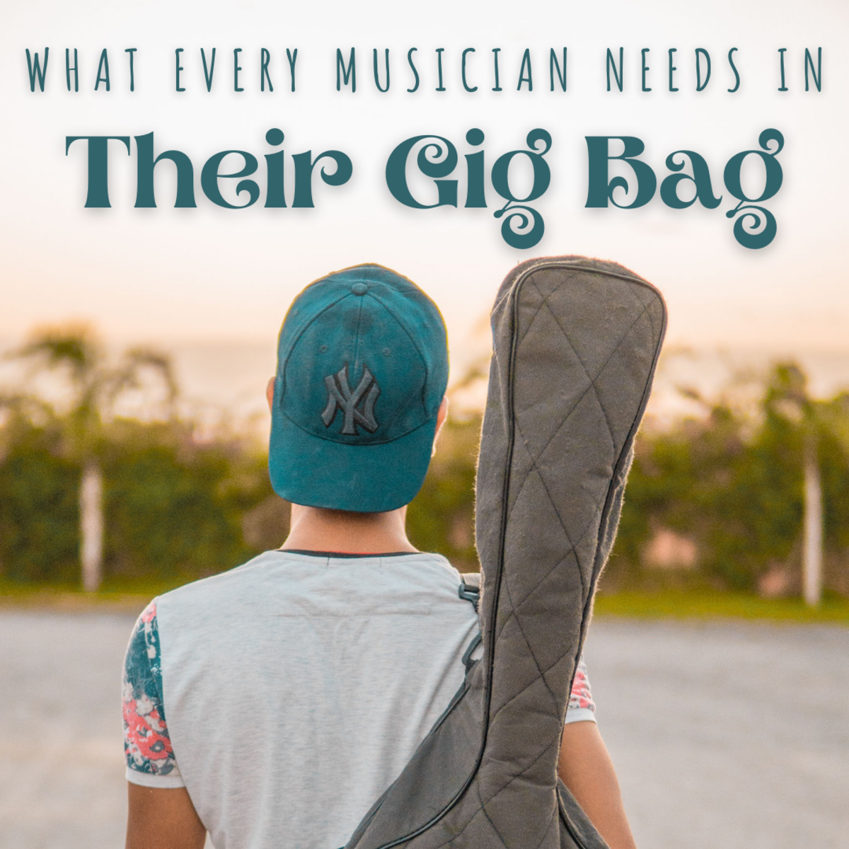 musicians gig bag