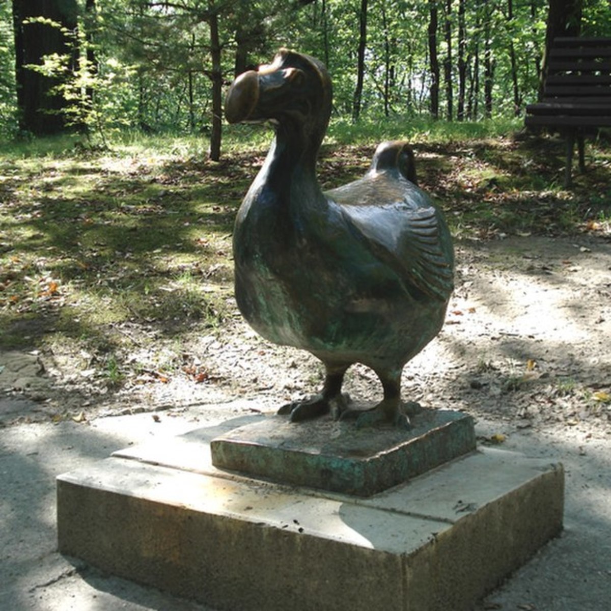 dodo-a-lost-bird