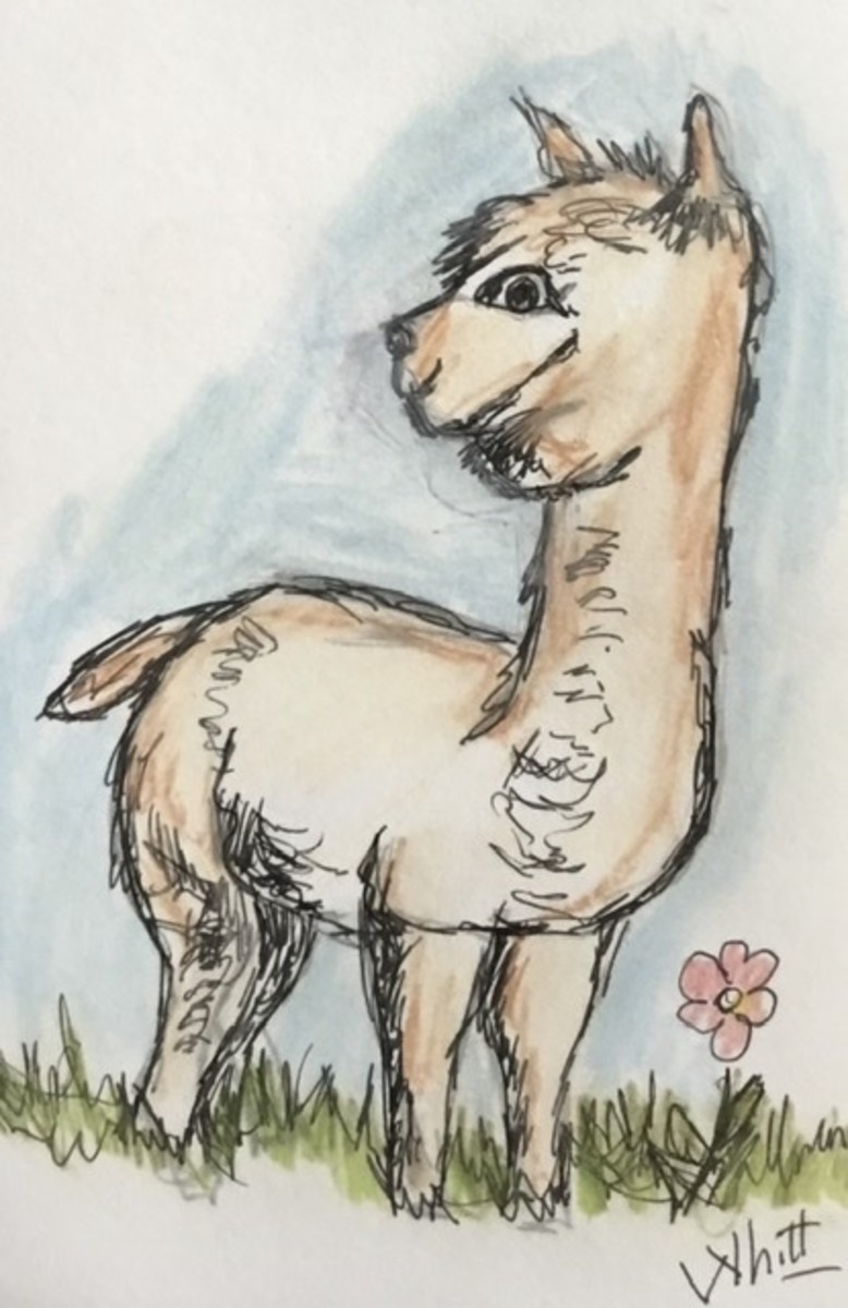 Alphie the Alpaca Asks a Lot of Questions - a Children’s Flash Fiction Story