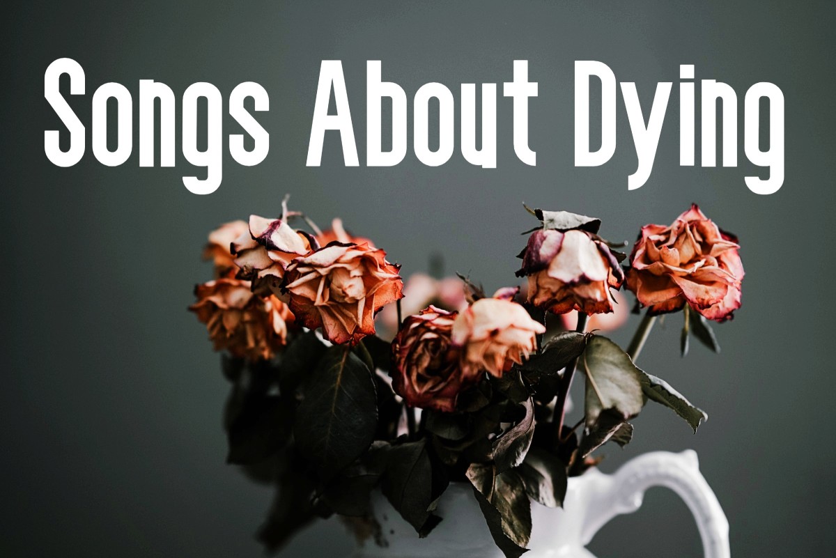 73 Songs About Dying Spinditty