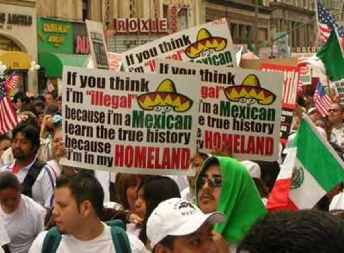 ILLEGAL ALIENS SAY AMERICA IS THEIR COUNTRY
