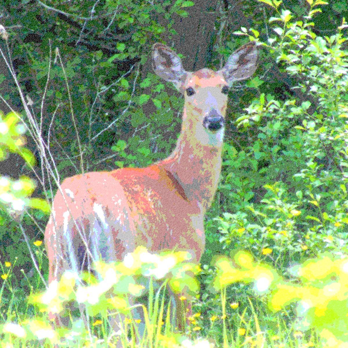 Simple pointillism art from a deer photo. Uses the primary colors plus green.