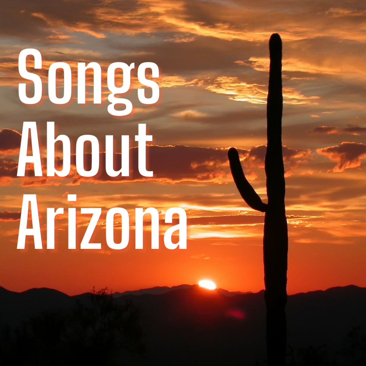 Celebrate the great state of Arizona—where the heat is scorching, the west is wild, and even the plants are dangerous—with a playlist of pop, rock, and country songs.