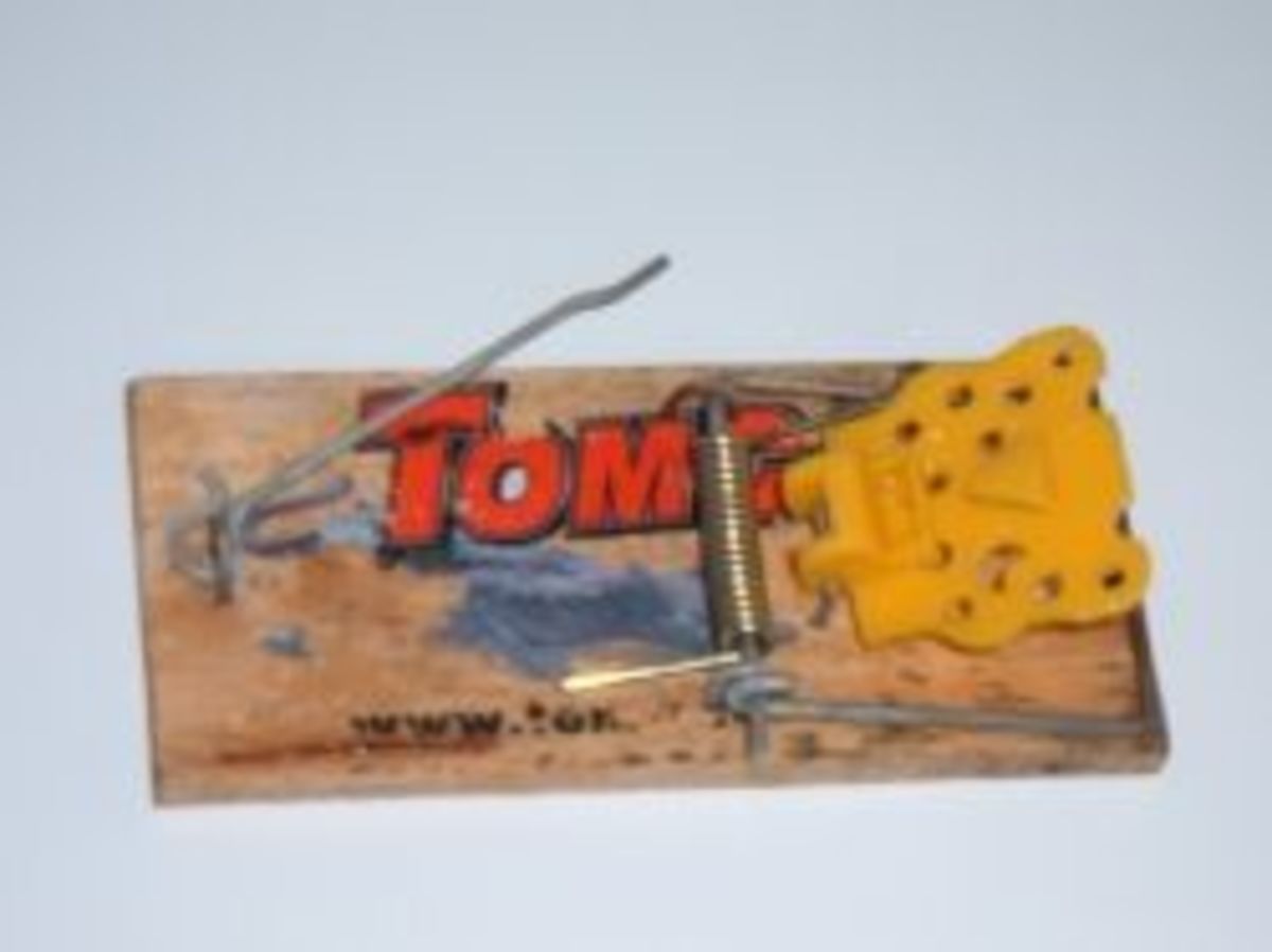 An effective and well-used Snap Mouse Trap