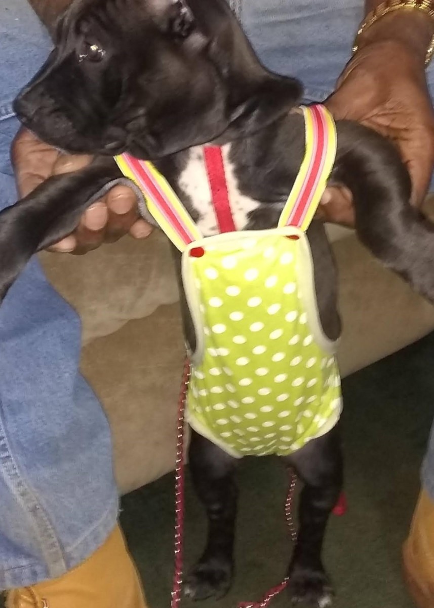Bama in her bathing suit.