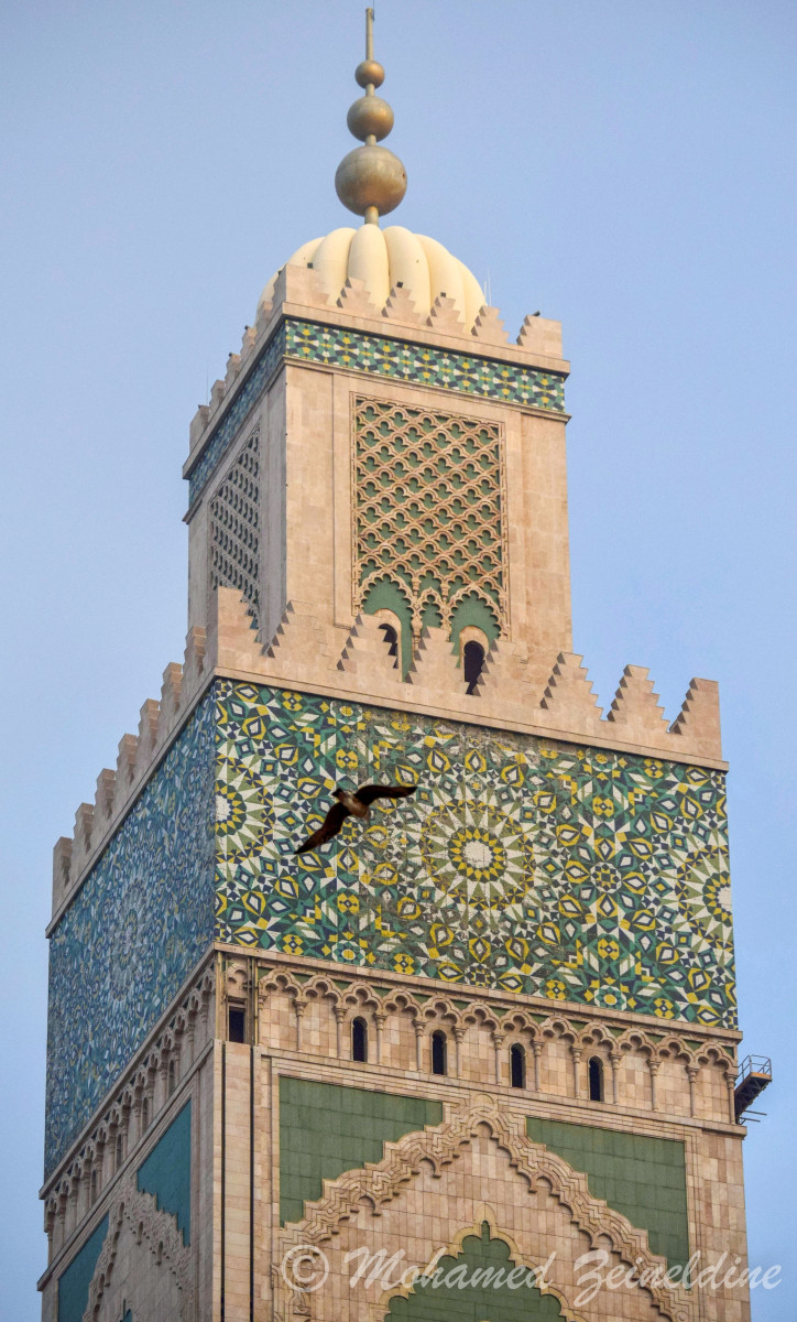 A bird flying by the minaret