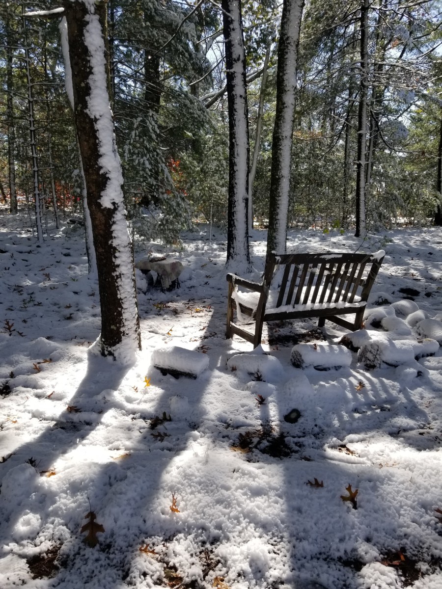 The Center of our labyrinth among trees after a snowstorm