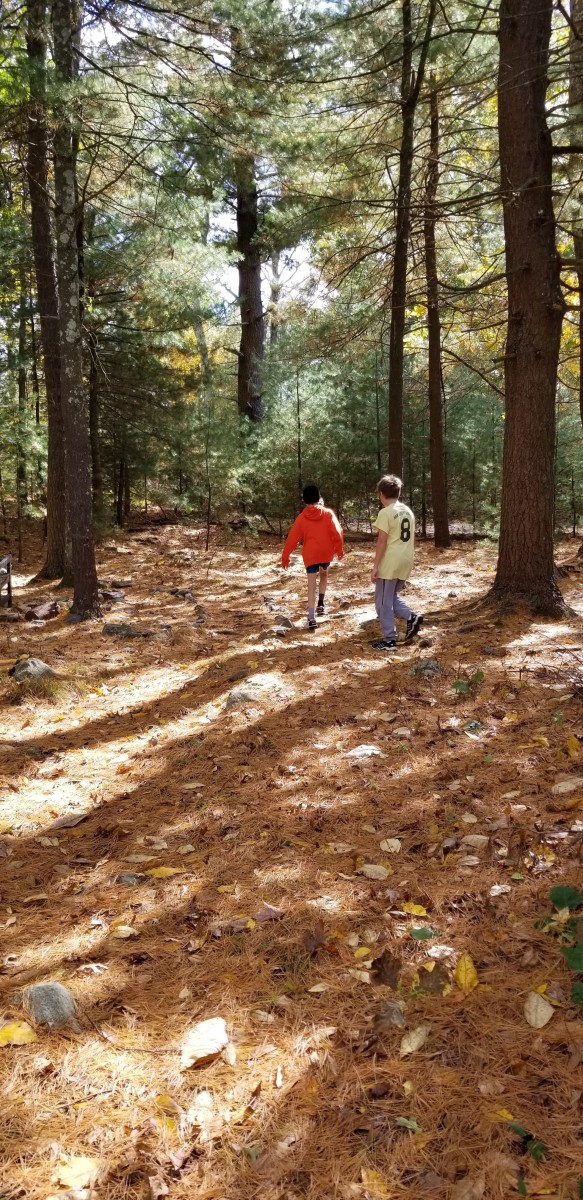 Two boys run together on the labyrinth path among the trees in my co-housing community.  They visited as apart of our UU church's RE program.
