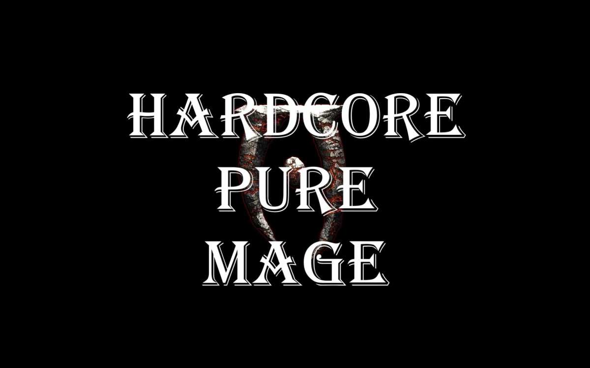 Hardcore Pure Mage Build in 
