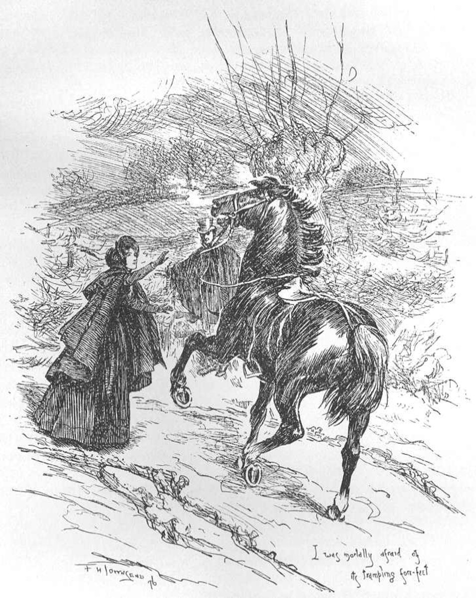 Jane Eyre, in the novel of the same name, mistook Mr. Rochester's Newfoundland dog and horse Mesrour for a Gytrash.