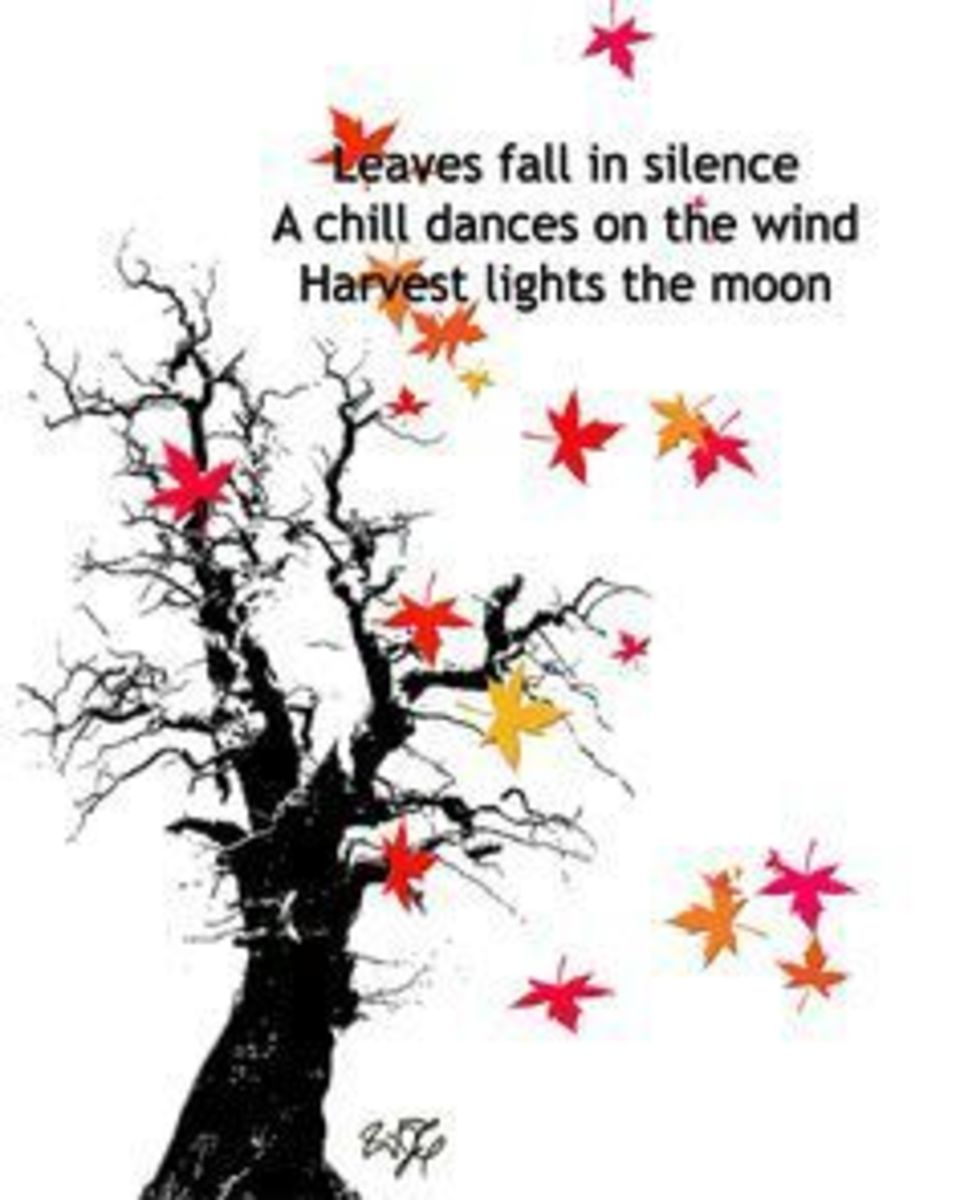 Ten New Haiku Poems LetterPile