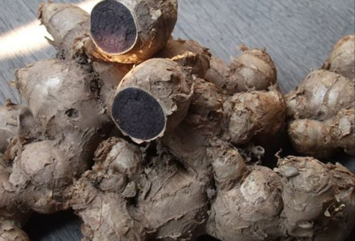 Ginger, Magical Effect on Weight Loss and Some Ginger Weight Loss Tips