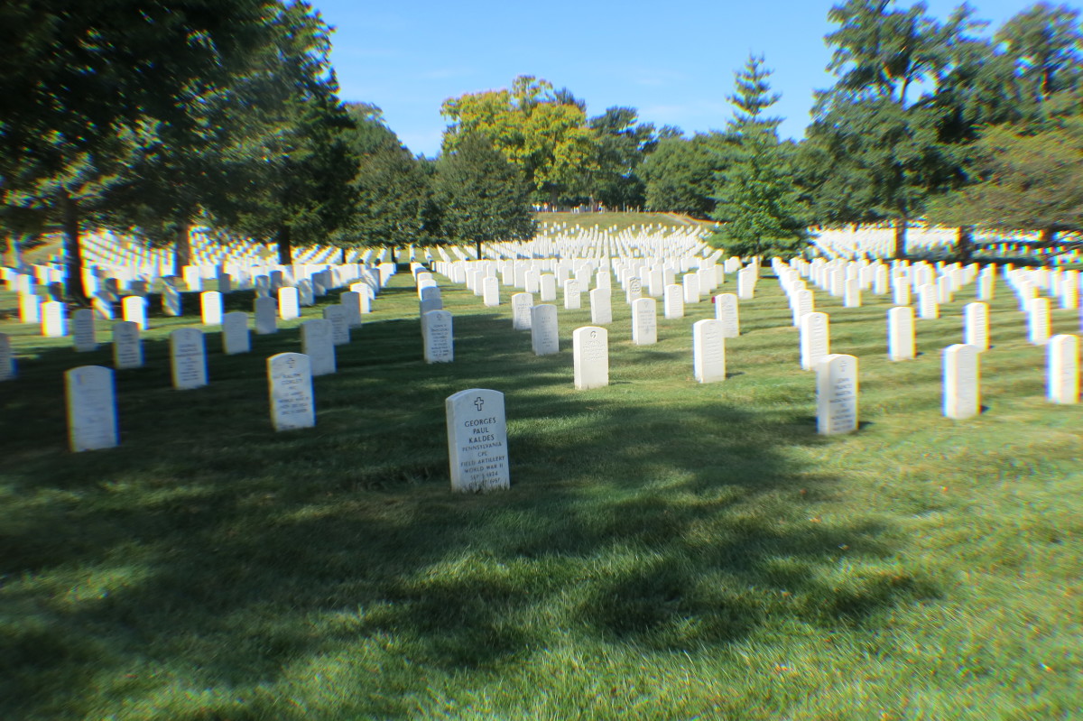 Row upon Row of Veteran Graves at Arlington National Cemetery