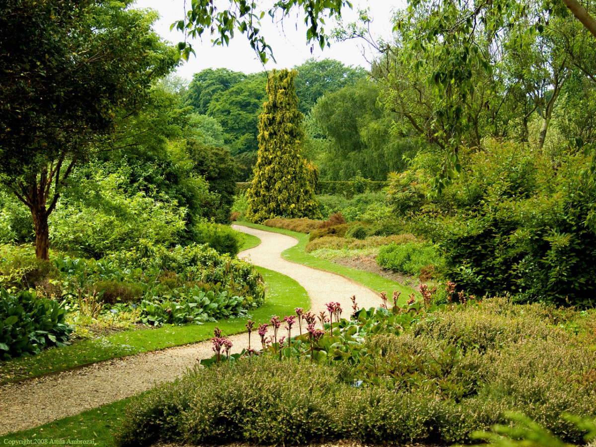 The Pathway at Cambridge Botanic Gardens