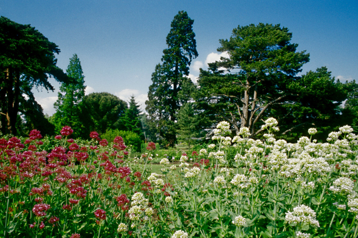 Scenic view of the Gardens in summer