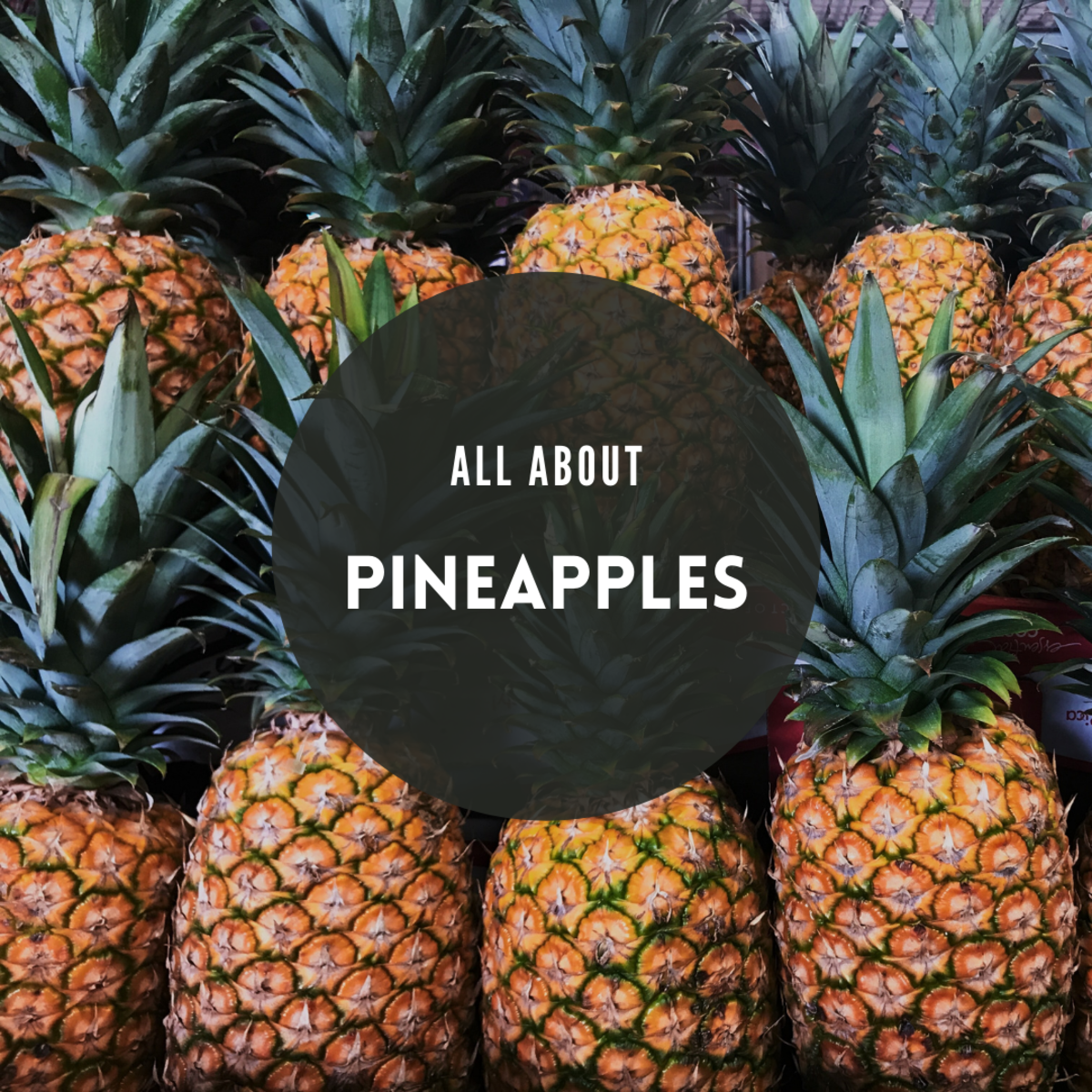 Top 5 Different Types of Pineapple (Plus Cut/Style Guide)