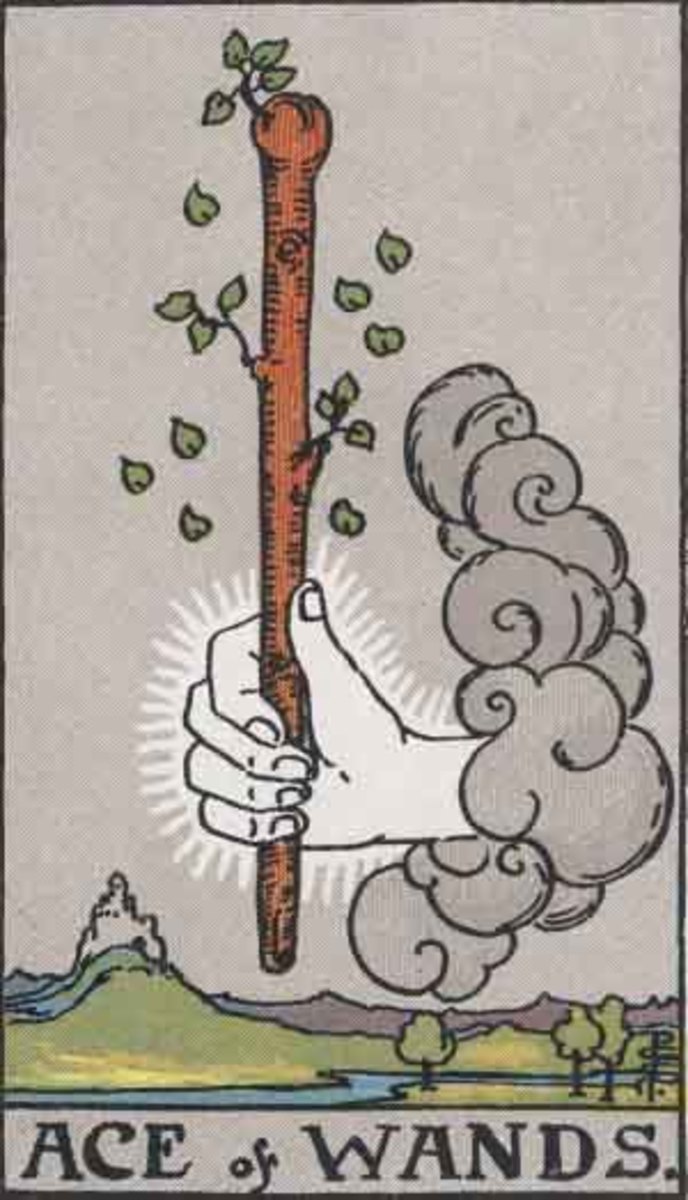 The Ace of Wands is the seed. It's the first step to everything. A spark can ignite the Universe.