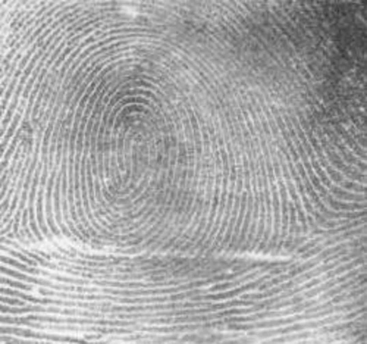 Crime Scene Fingerprints