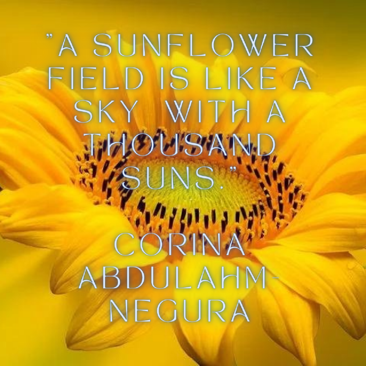 facts-about-sunflower