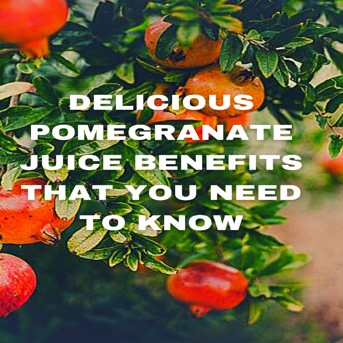 Delicious Pomegranate Juice Benefits That You Need To Know
