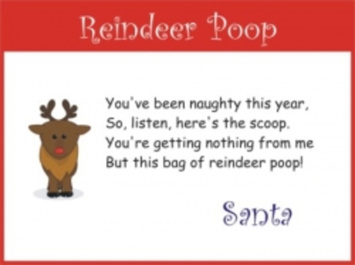 how-to-make-reindeer-poop
