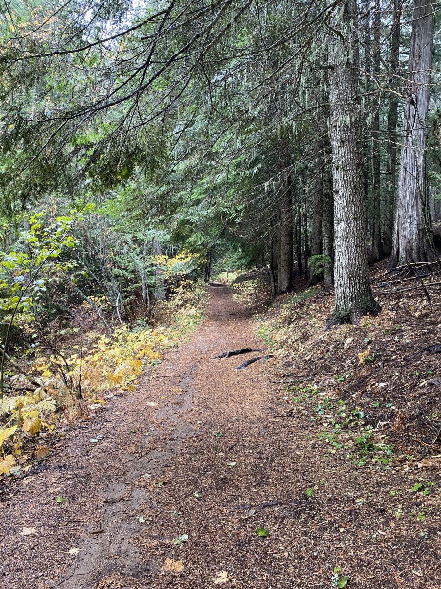 an-autumn-day-trip-to-mount-spokane