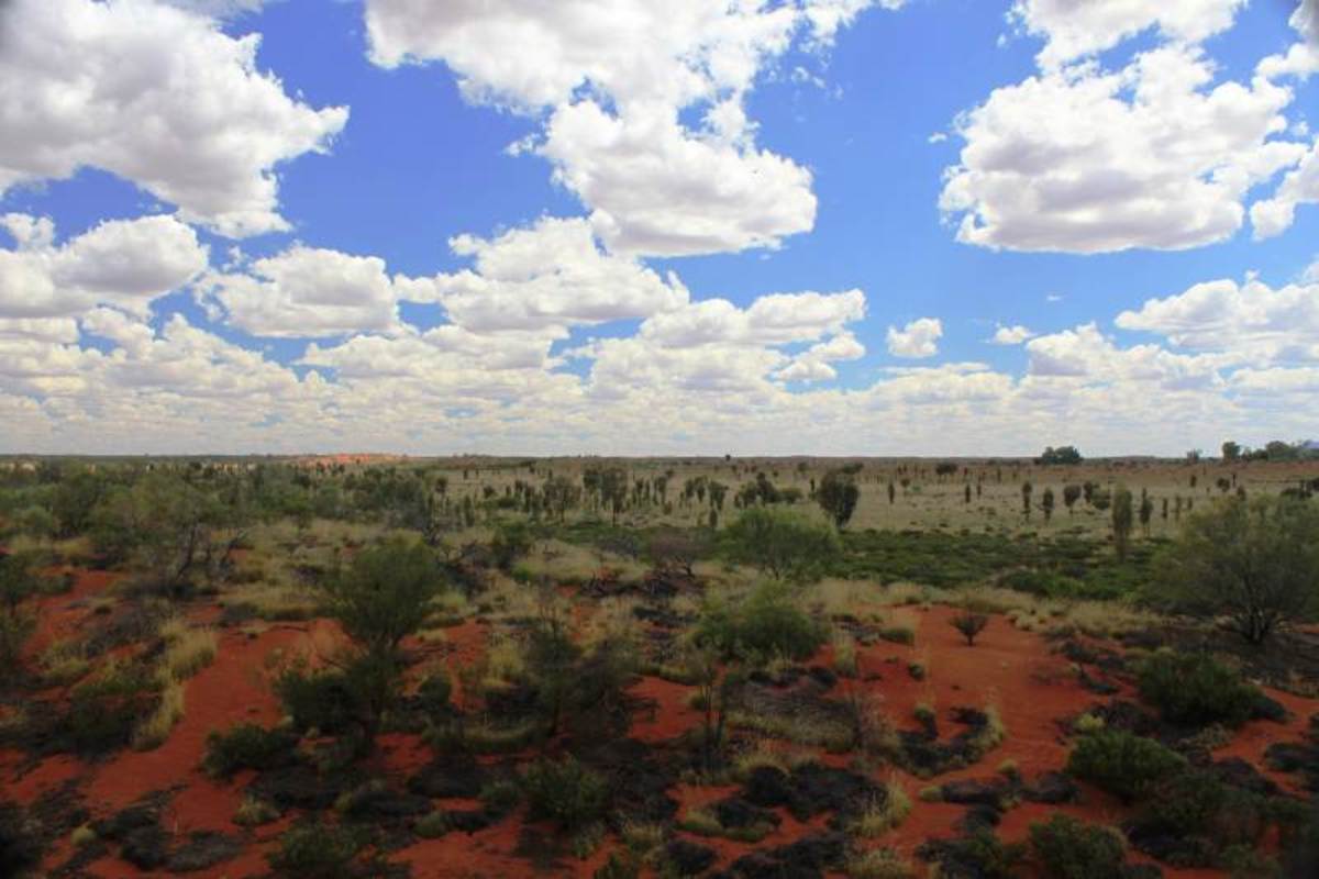 The Outback.  Copyright 2011, Bill Yovino
