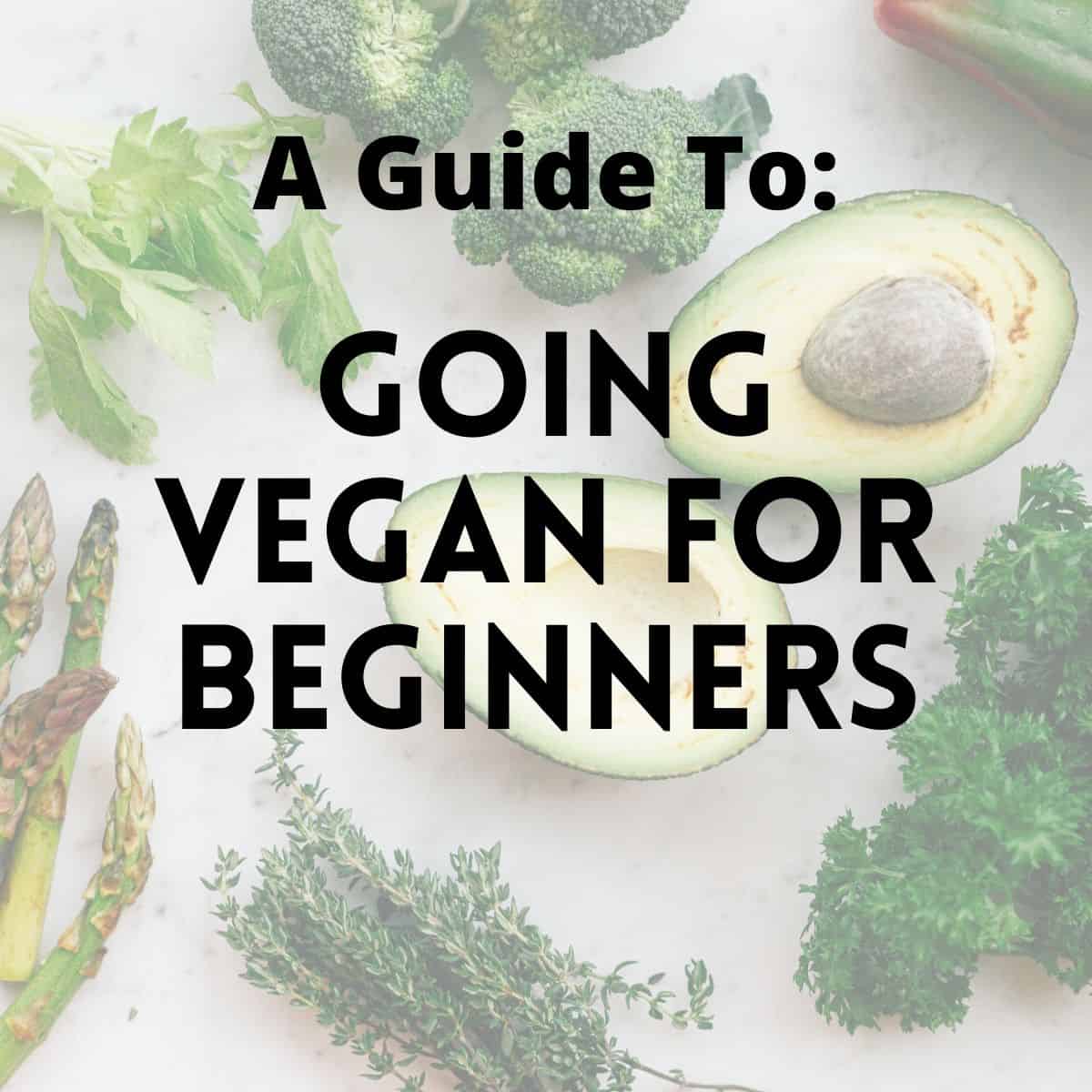 Thinking About Going Vegan? Here's a Vegan Beginner's Guide