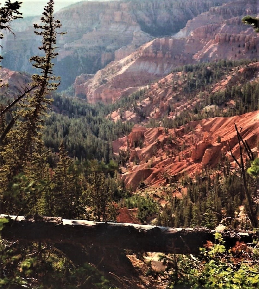 Cedar Breaks National Monument in Utah: Forces of Nature