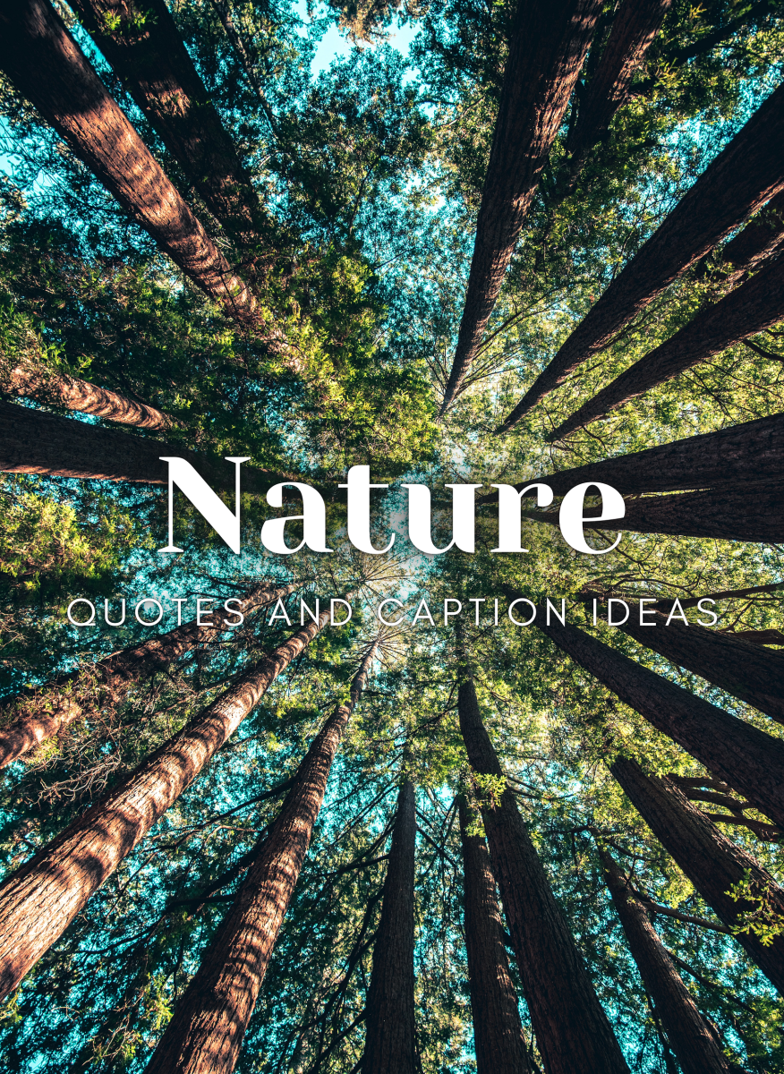 Nature Quotes and Caption Ideas