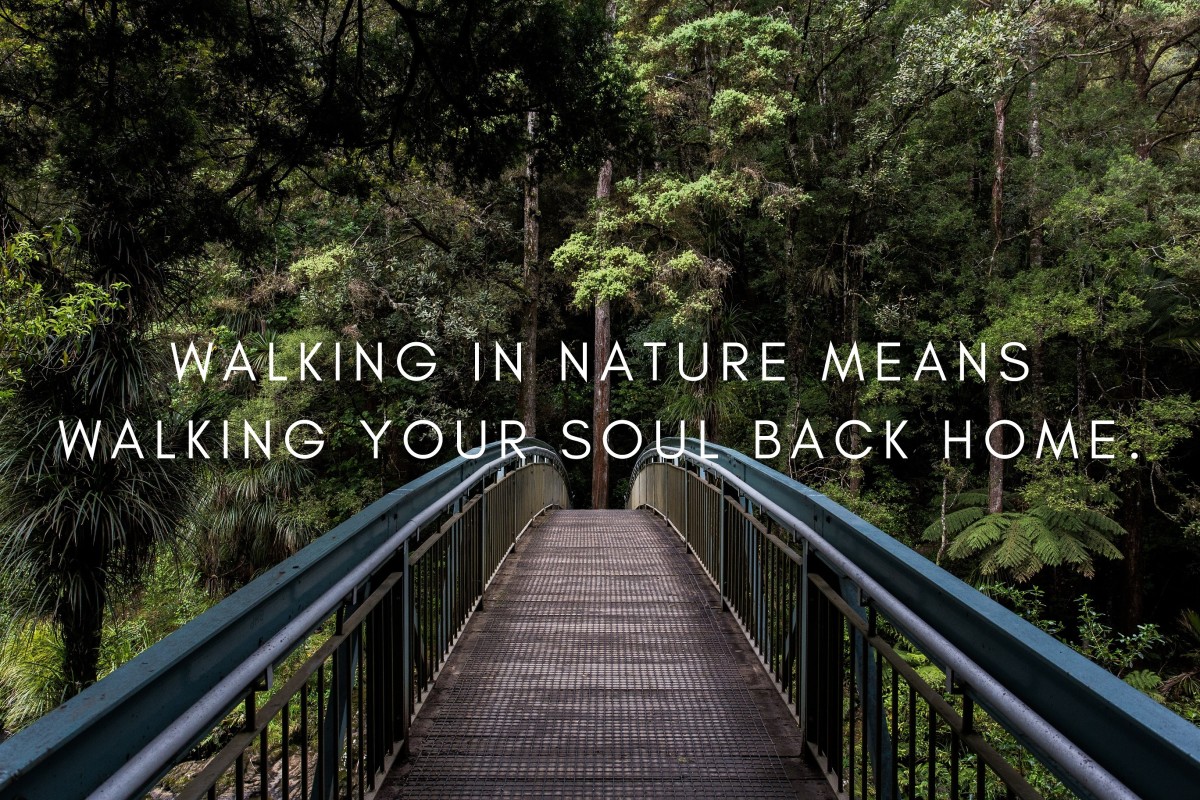 150  Nature Quotes and Caption Ideas for Instagram - 37