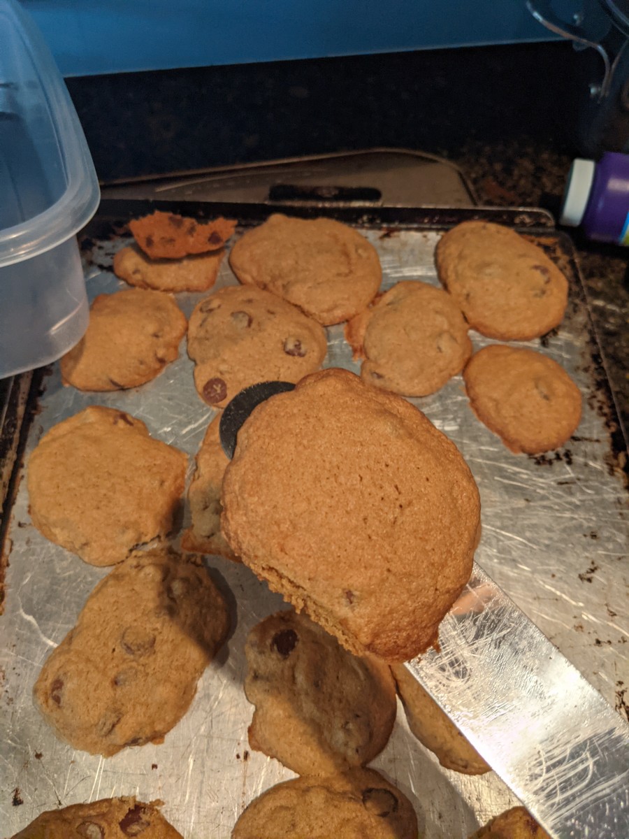 cookies-chocolate-chip-infused