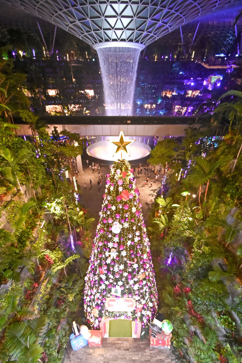 Every December, the Shiseido Forest Valley is transformed into a festive playground. With the entrance always featuring an immense Christmas tree.