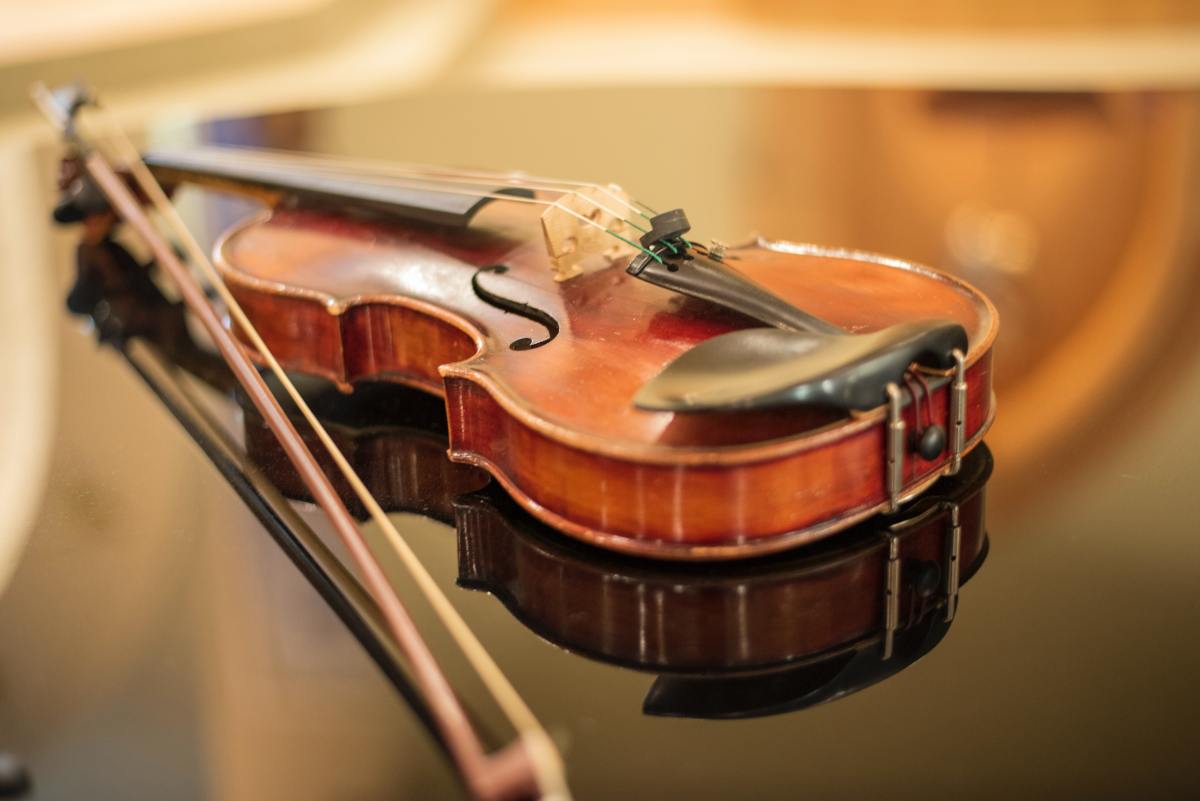 The Bow: the Violin Family's Companion - Spinditty