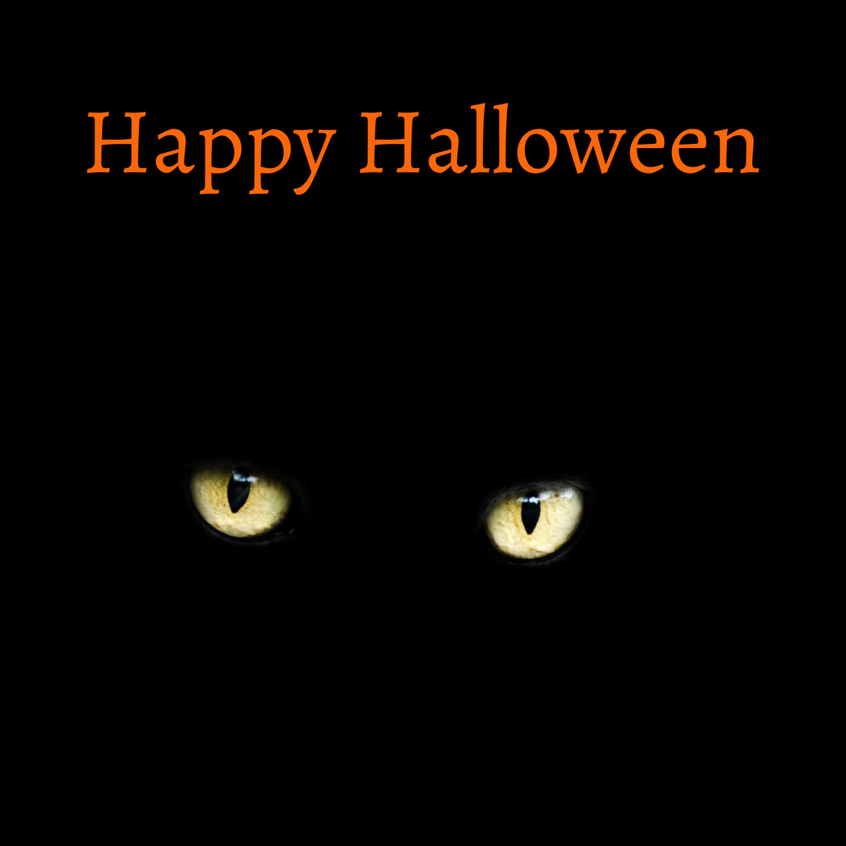 Happy Halloween Cat Eyes