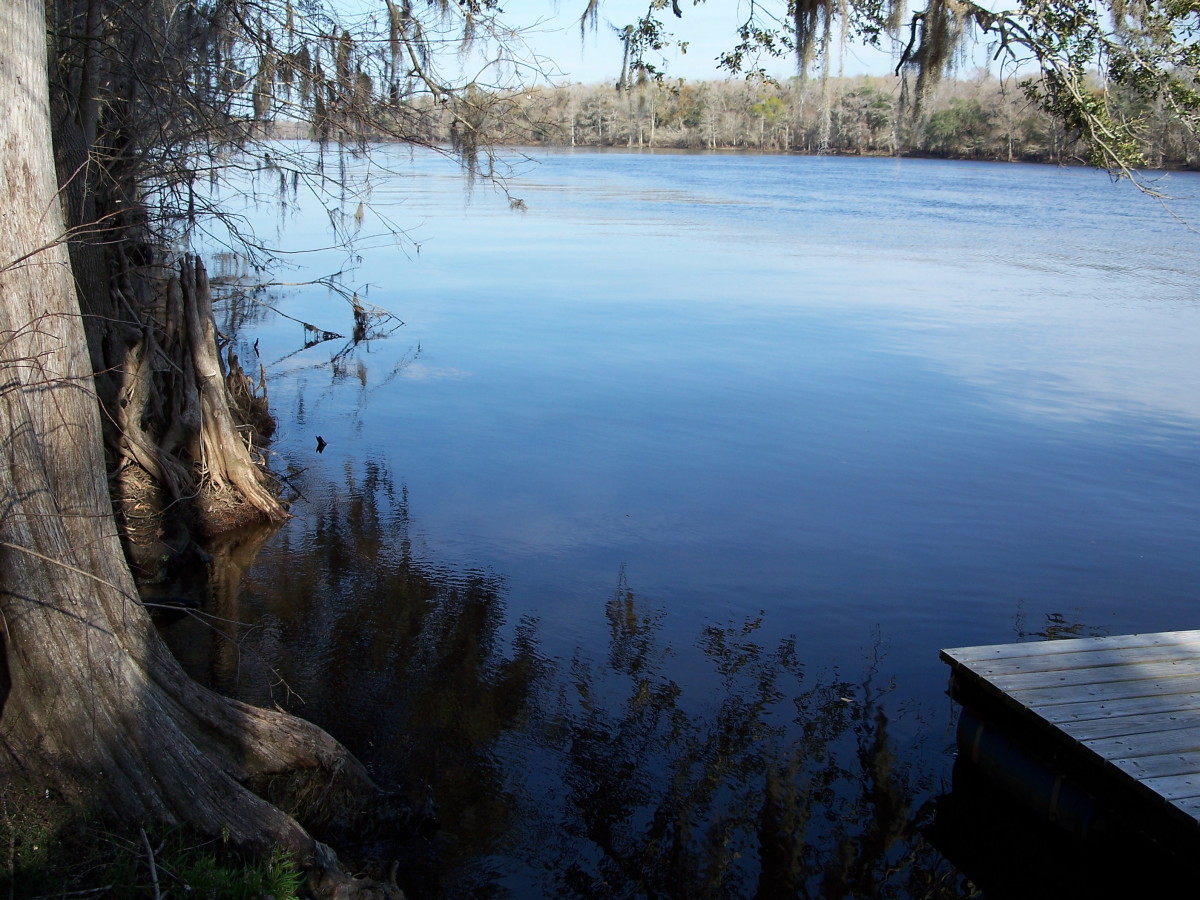 View of the Suwanee River on the Florida Panhandle.