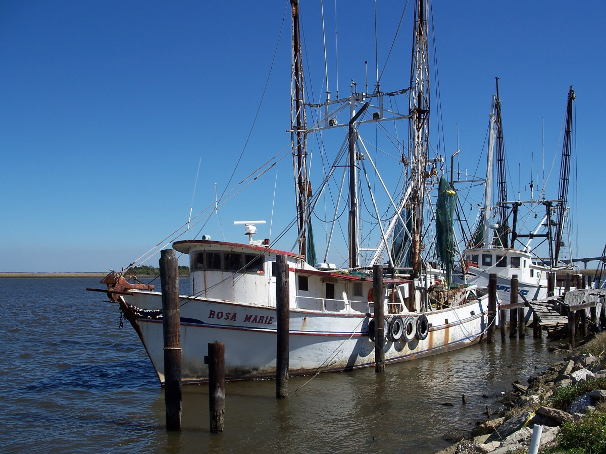 Fishing boats wait to go out at the docks in Apalachicola, Florida.