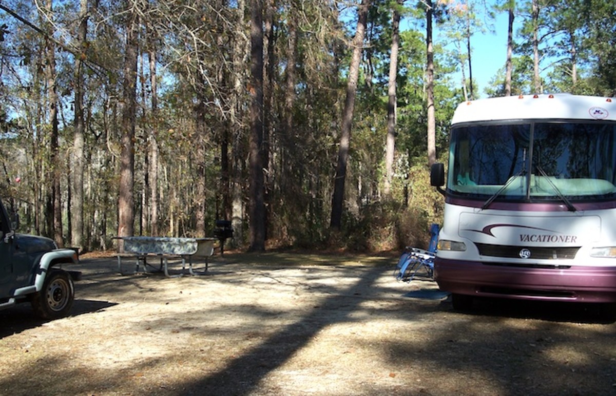Our campsite at Wright Lake in Florida's Apalachicola National Forest was quiet and sunny. Some RVing Snowbirds choose this hideaway as a roost for part of the winter. 